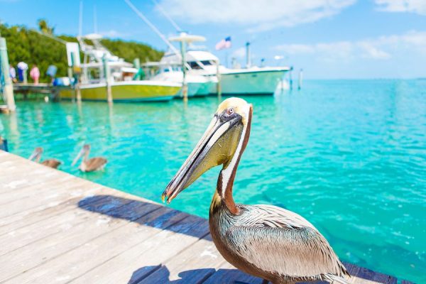 Islamorada