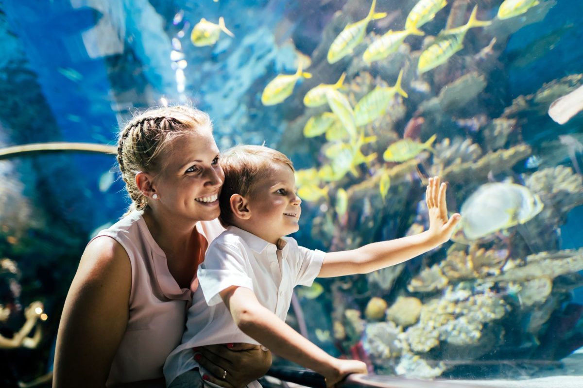 Florida Keys aquarium 