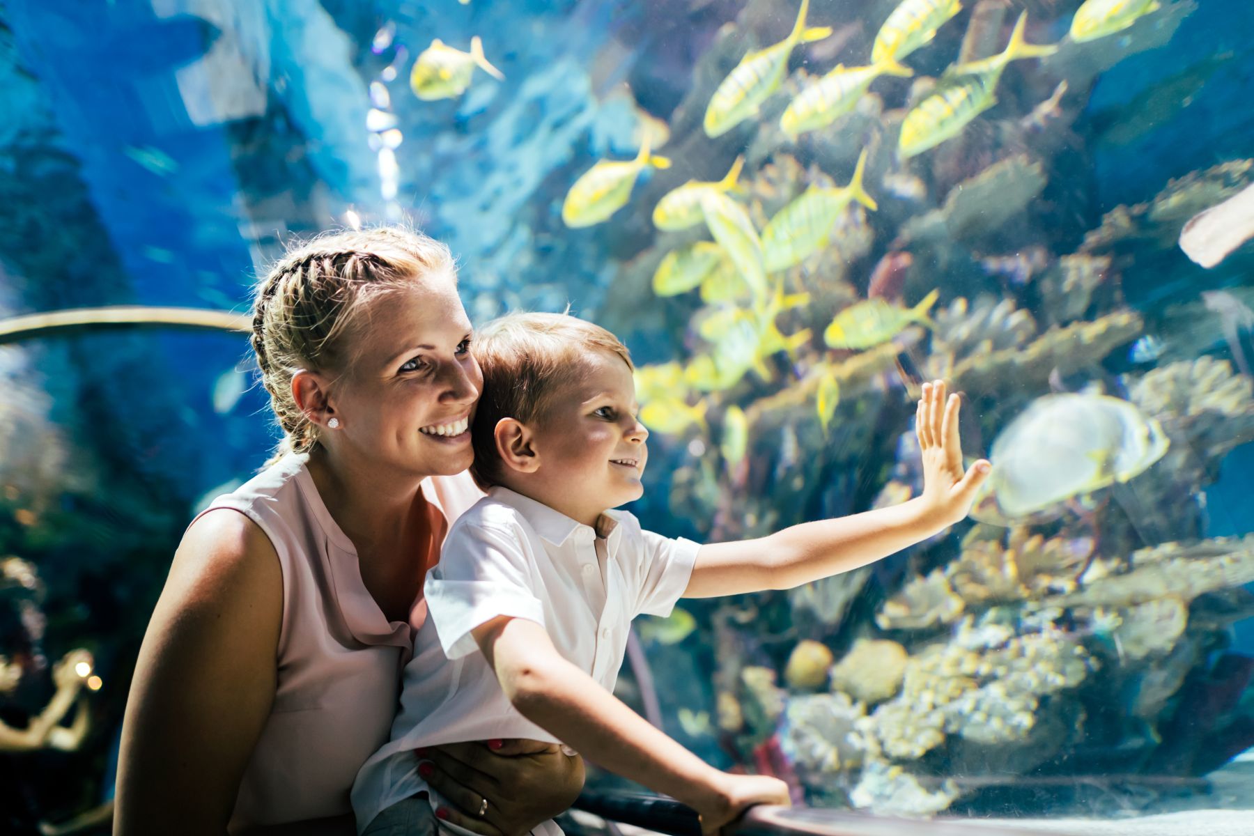 Florida Keys aquarium