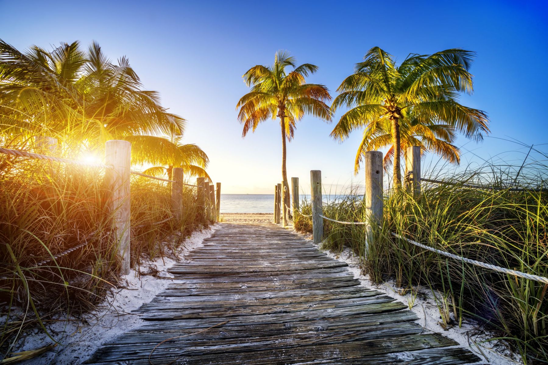 beach park in the Florida keys