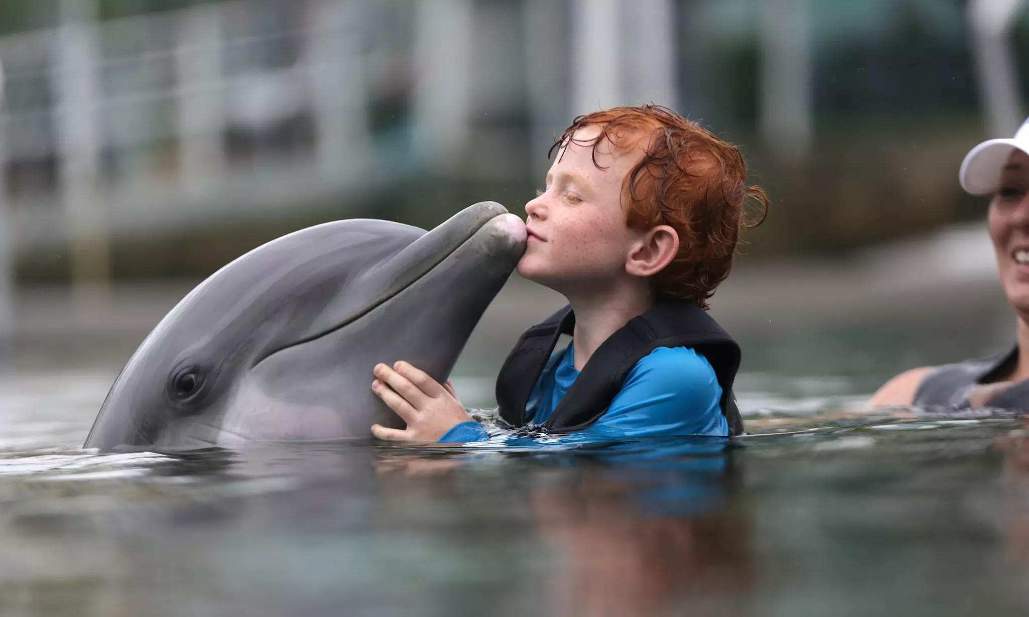 kid with dolphin